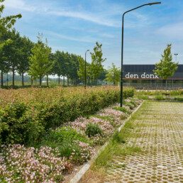 Oisterwijk-SportparkDenDonk (foto door Van Helvoirt groenprojecten)